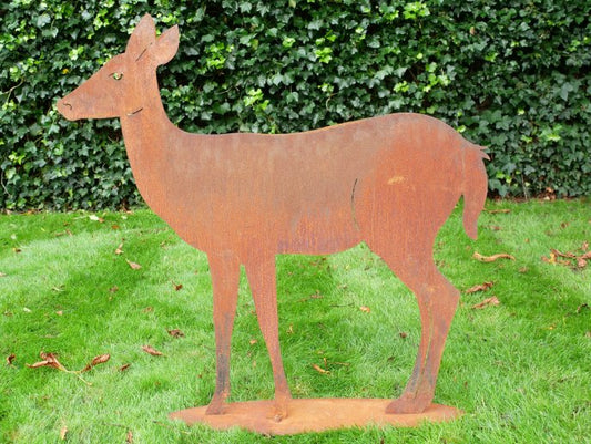 Rusty Deer