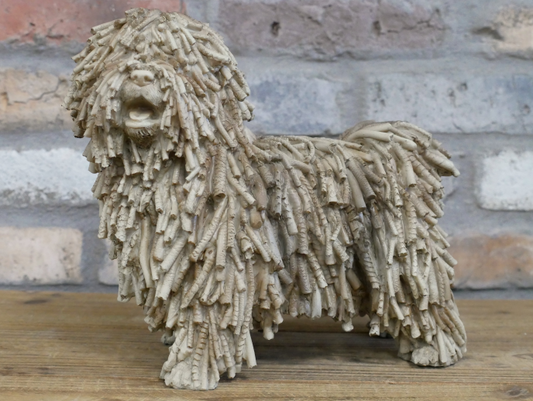 Shaggy Dog