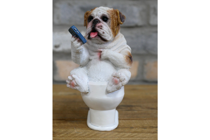 Bulldog On The Loo