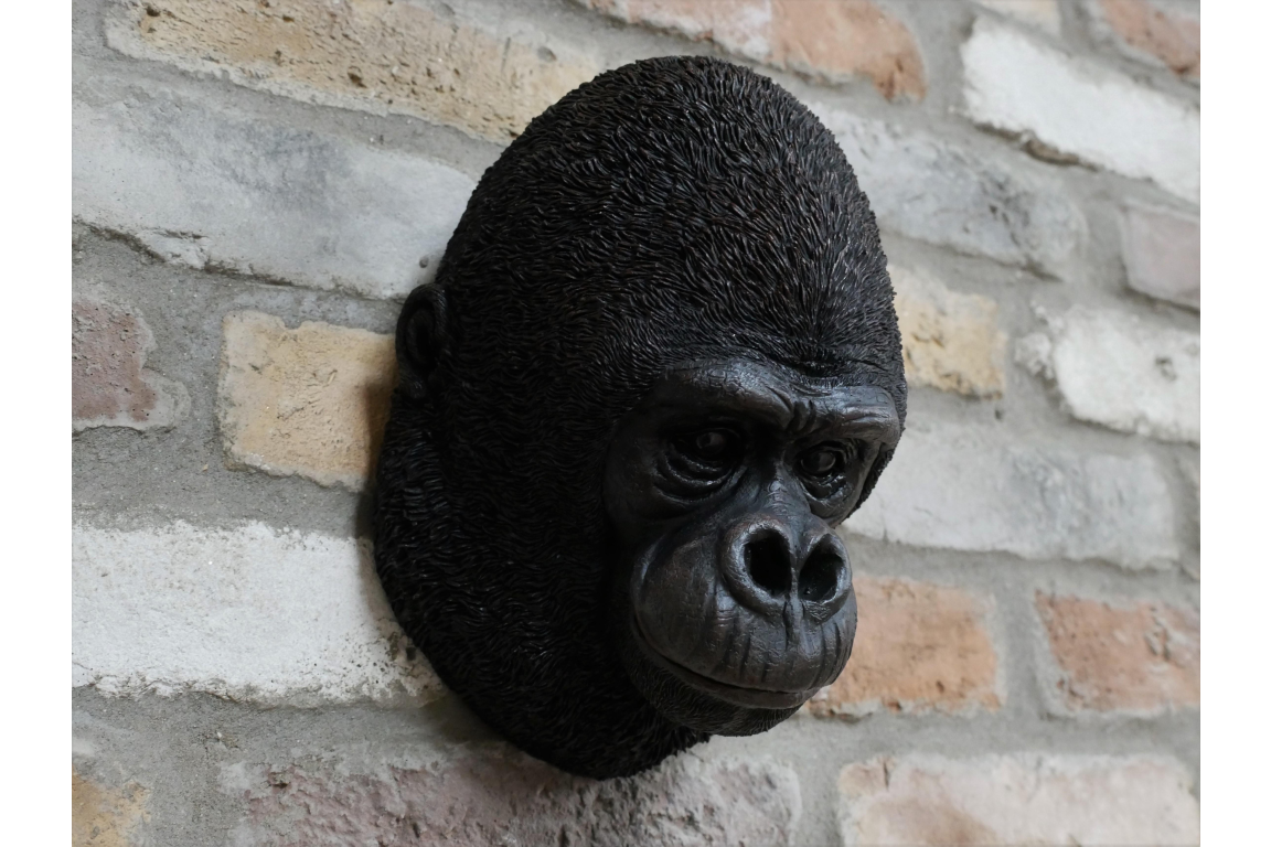 Gorilla Head