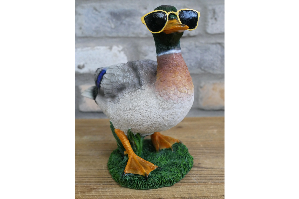 Duck In Shades