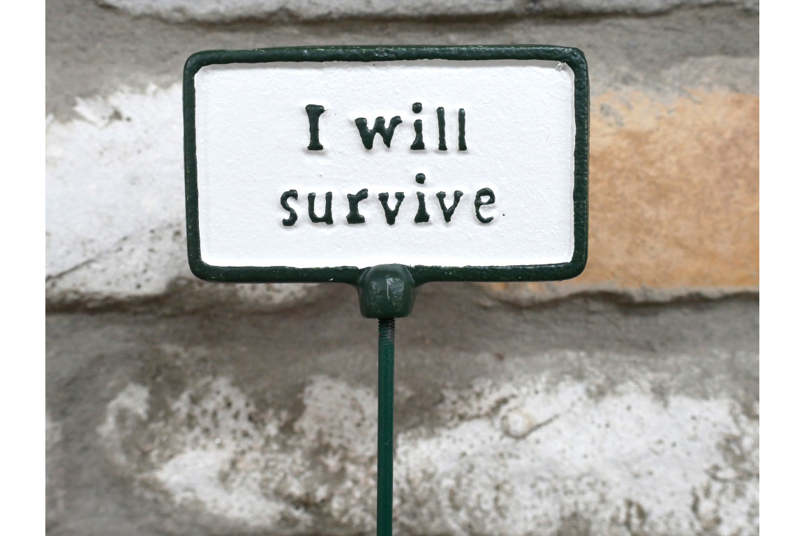 Plant Sign - I Will Survive