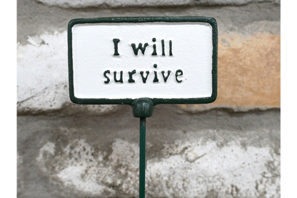 Plant Sign - I Will Survive
