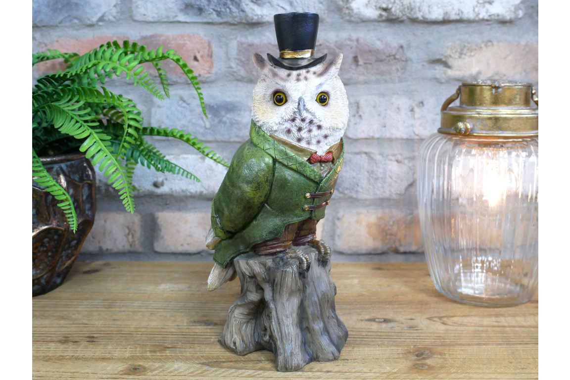 Owl In Suit