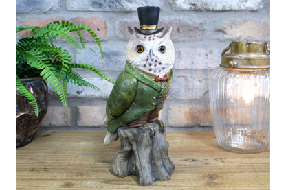 Owl In Suit