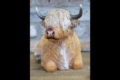 Laying Highland Cow