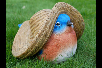 Mexican Blue Tit