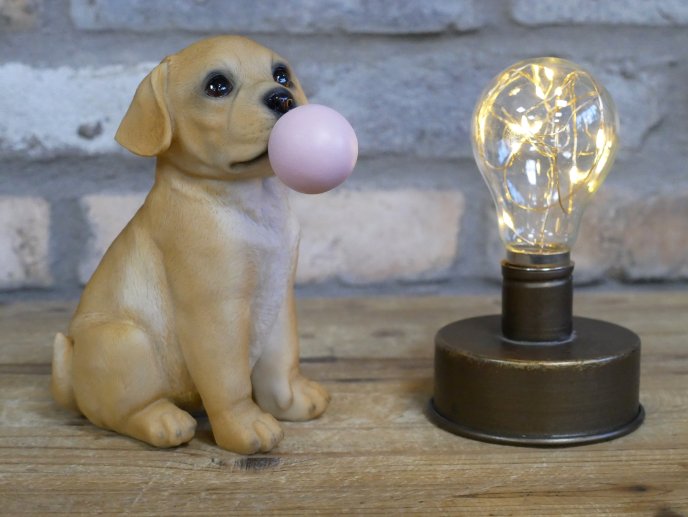 Bubblegum Dog