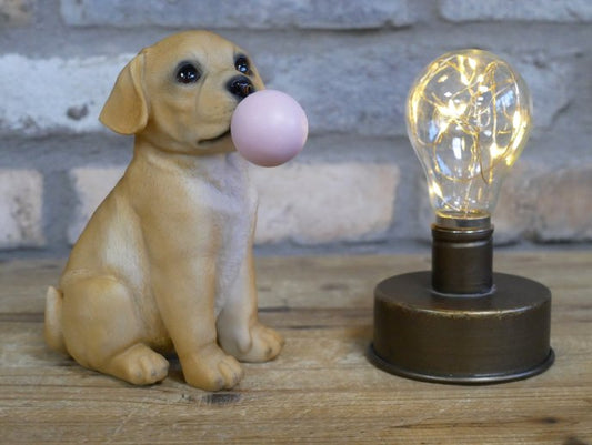 Bubblegum Dog