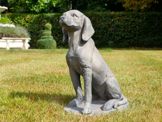 Sitting Dog