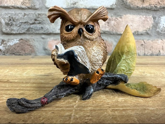 Owl Reading