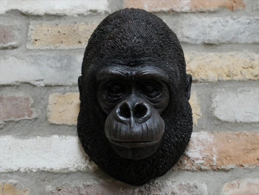 Gorilla Head