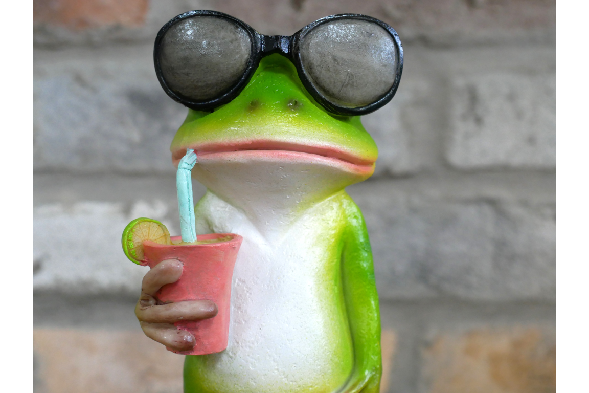 Drinking Frog