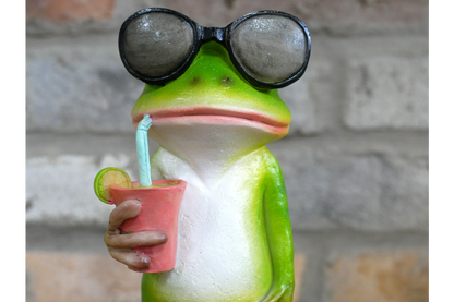 Drinking Frog
