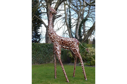 Giraffe Medium
