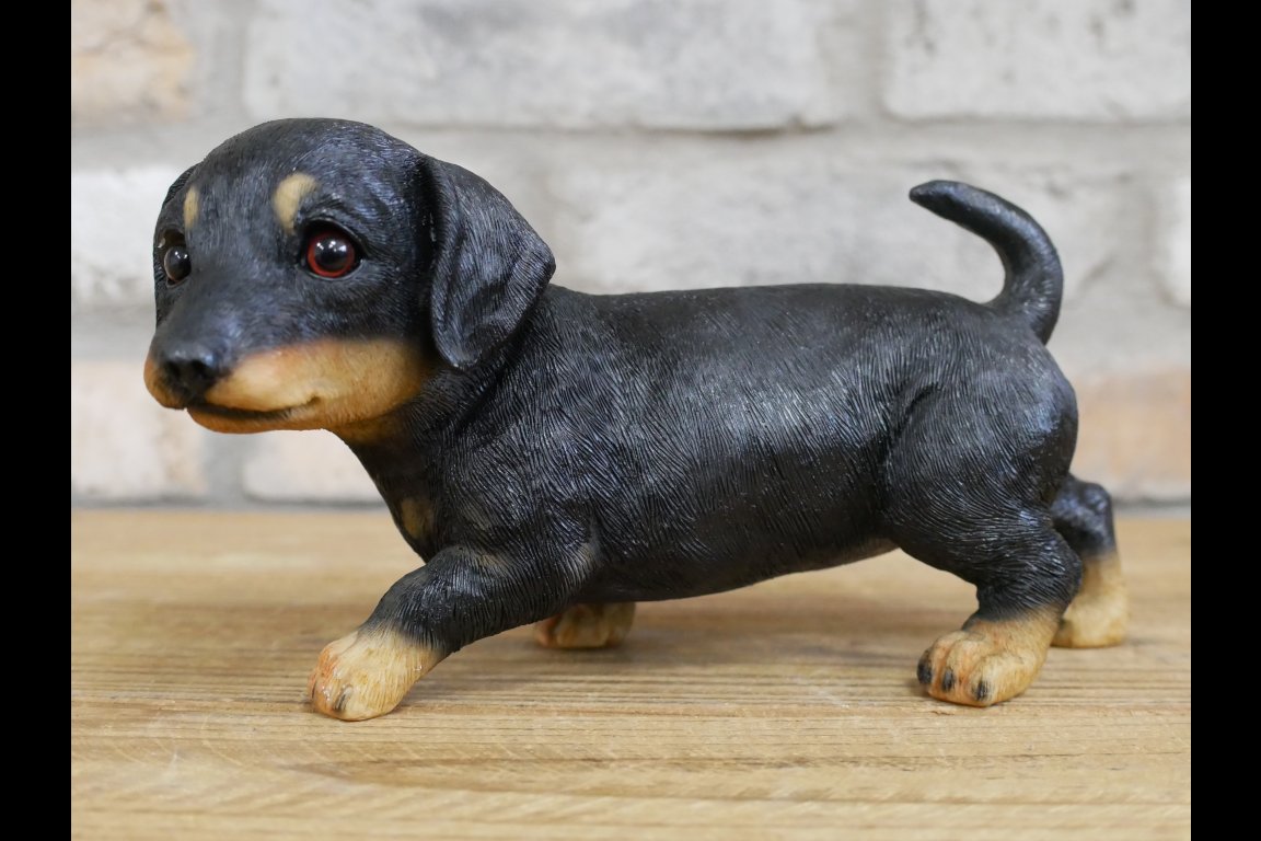 Small Dog