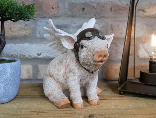 Flying Pig