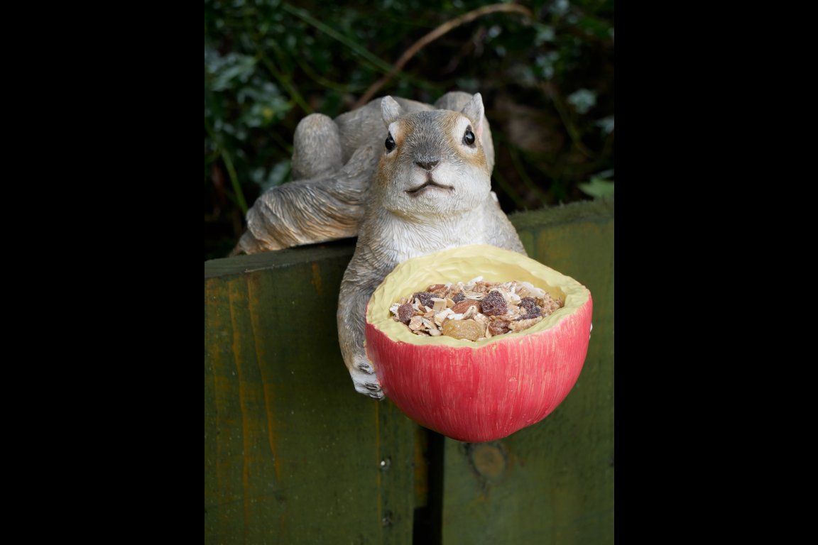Squirrel Feeder