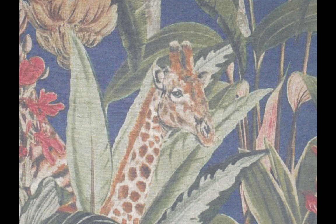 Wall Art - Giraffe