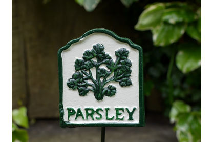 Herb Sign (Parsley)