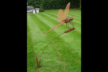Rusty Dragonfly Stake