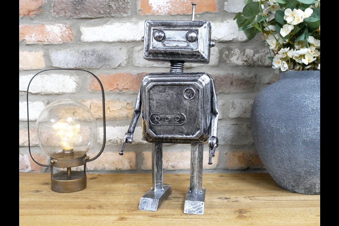 Robot