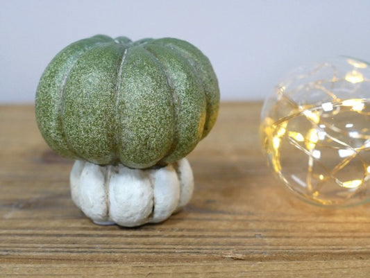 Small Pumpkin