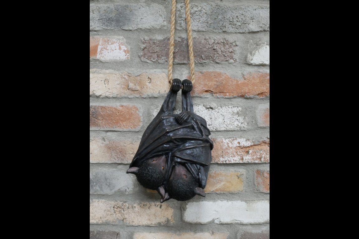 Hanging Bats