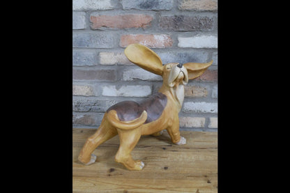 Big Ears Dog