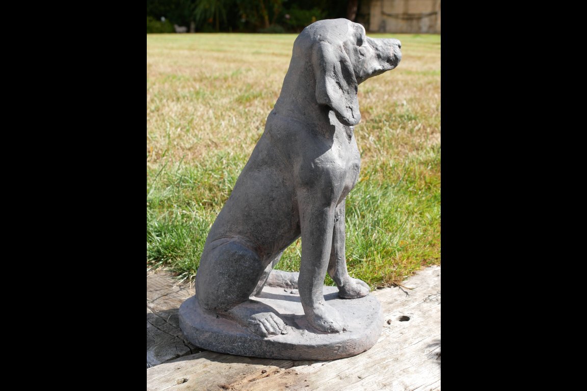 Sitting Dog