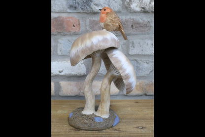 Robin On Top Of Mushrooms