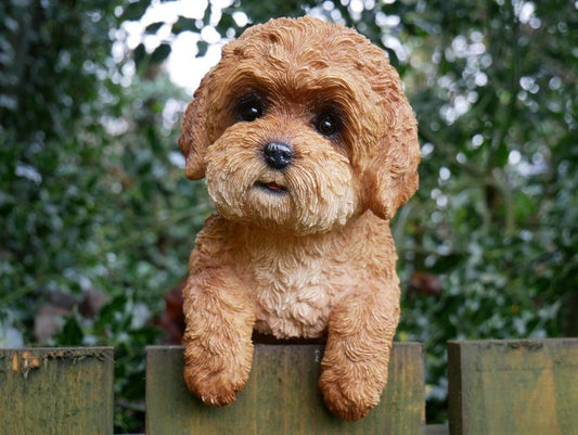 Hanging Dog