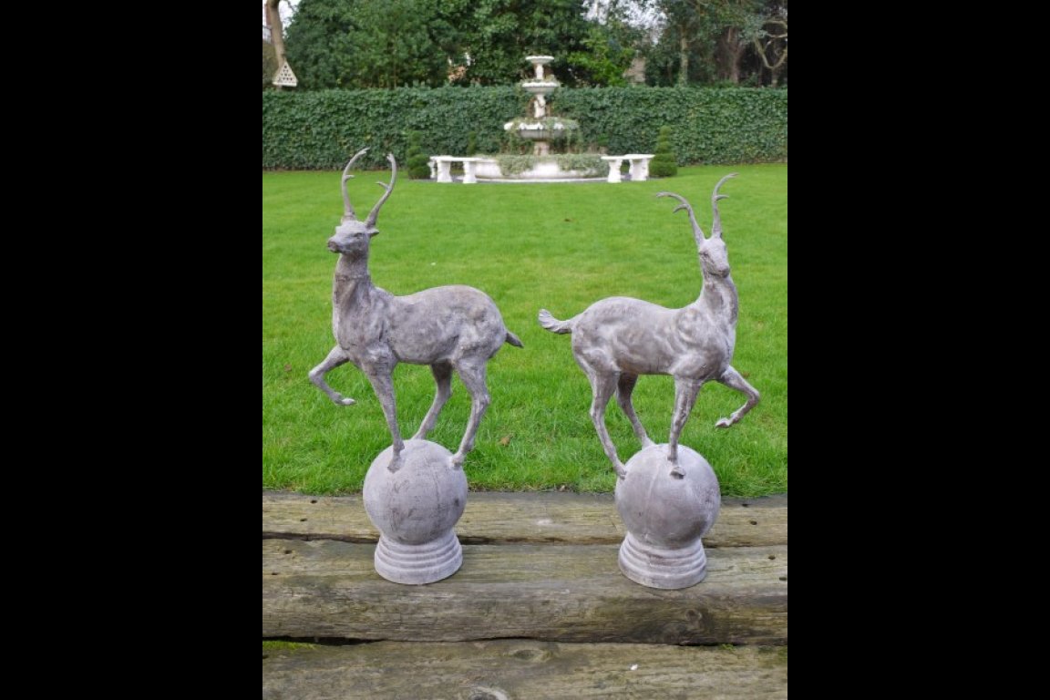 Pair of Stag's