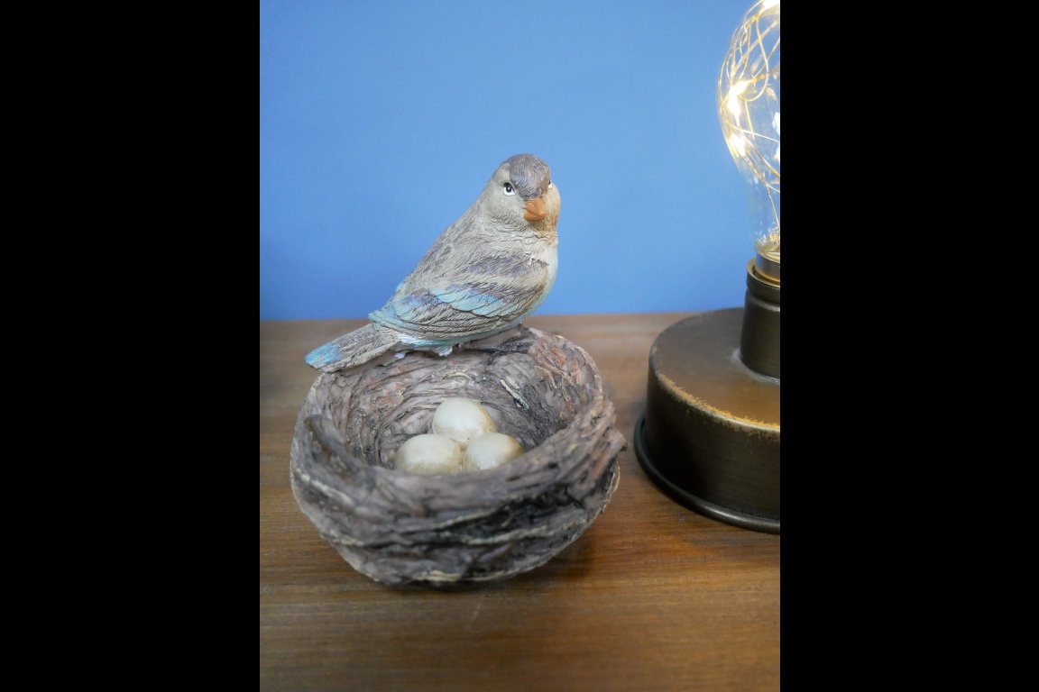 Bird Nest