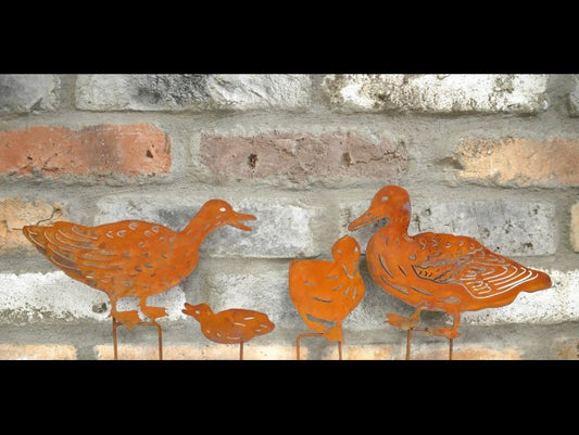Set of 4 Duck Family