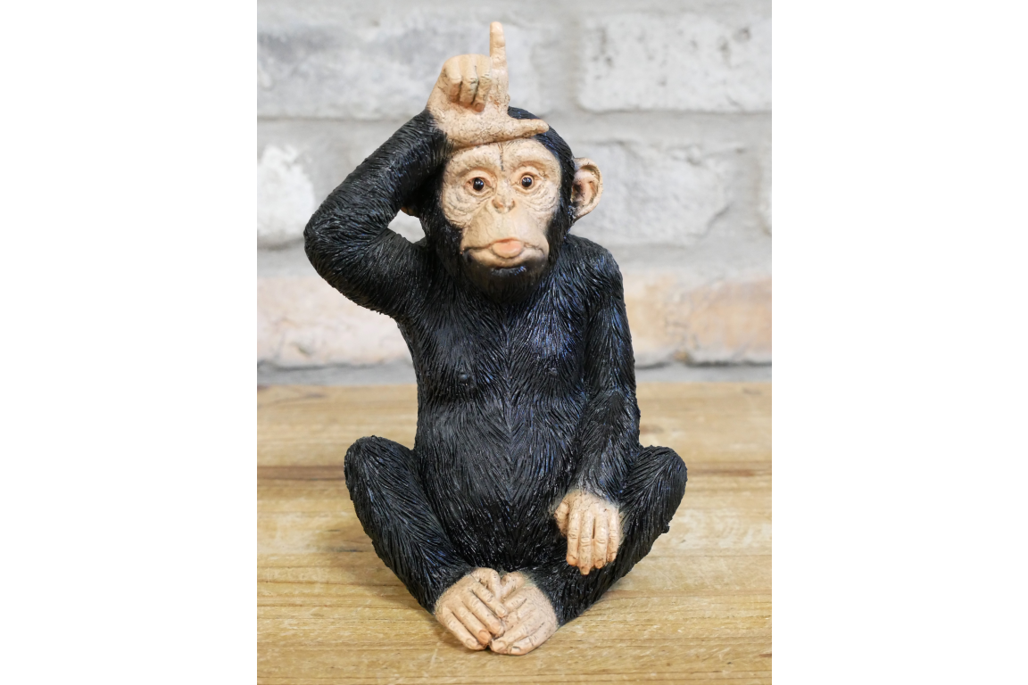 Little Loser Monkey