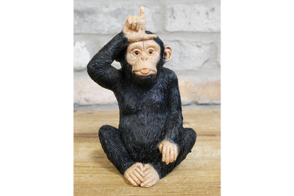 Little Loser Monkey