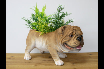 Bulldog Planter