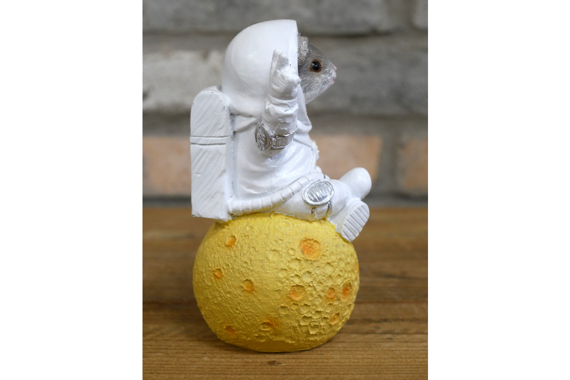 Mouse On Cheese Moon