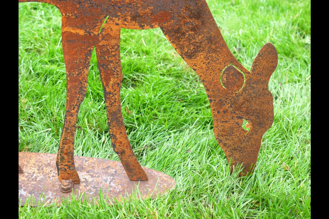 Small Rusty  Deer