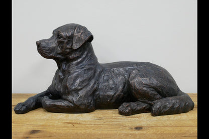Laying Dog