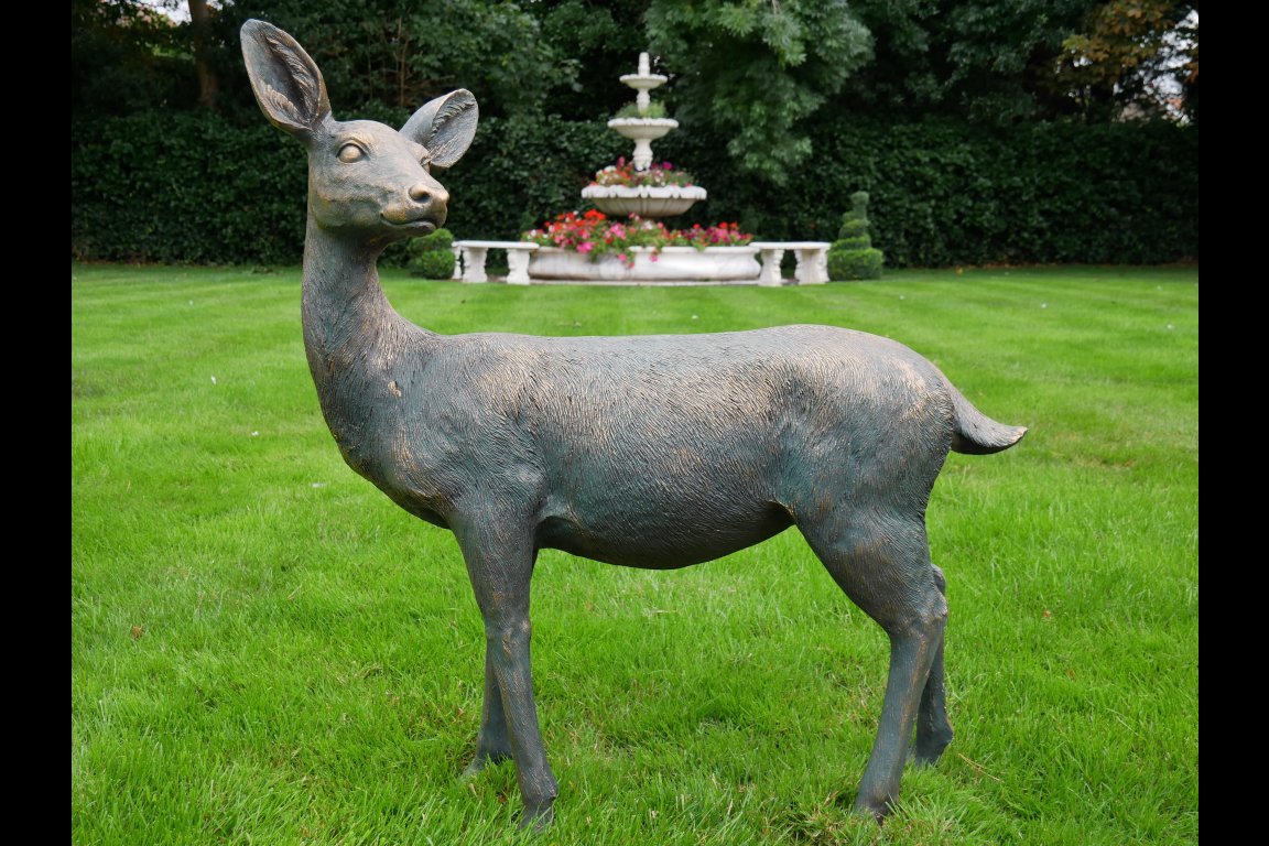 Deer