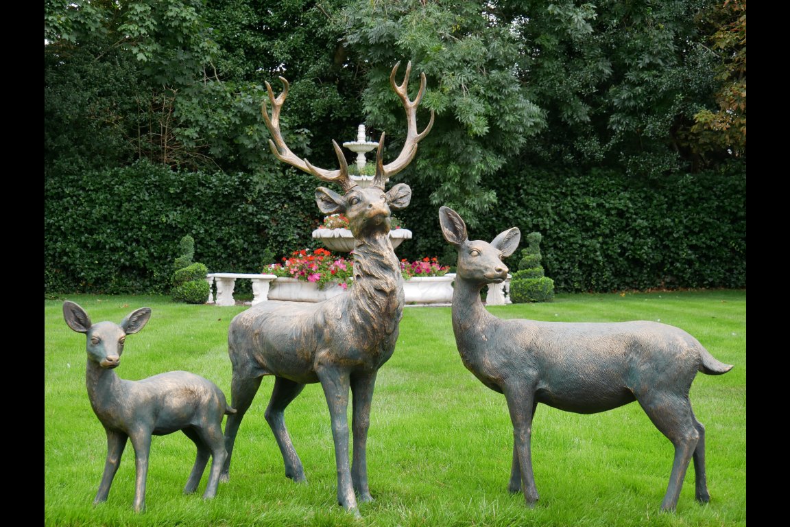 Stag
