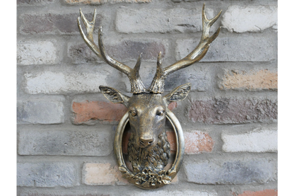Stag Head