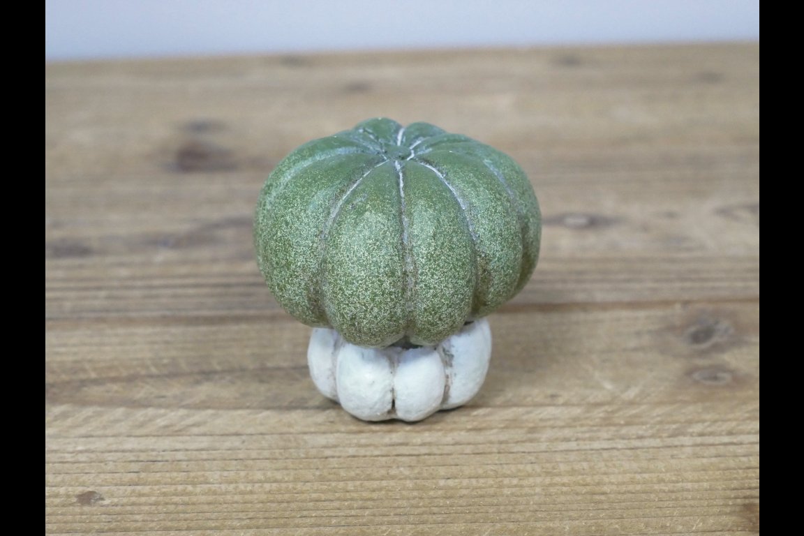 Small Pumpkin