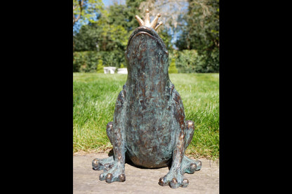 Frog Prince