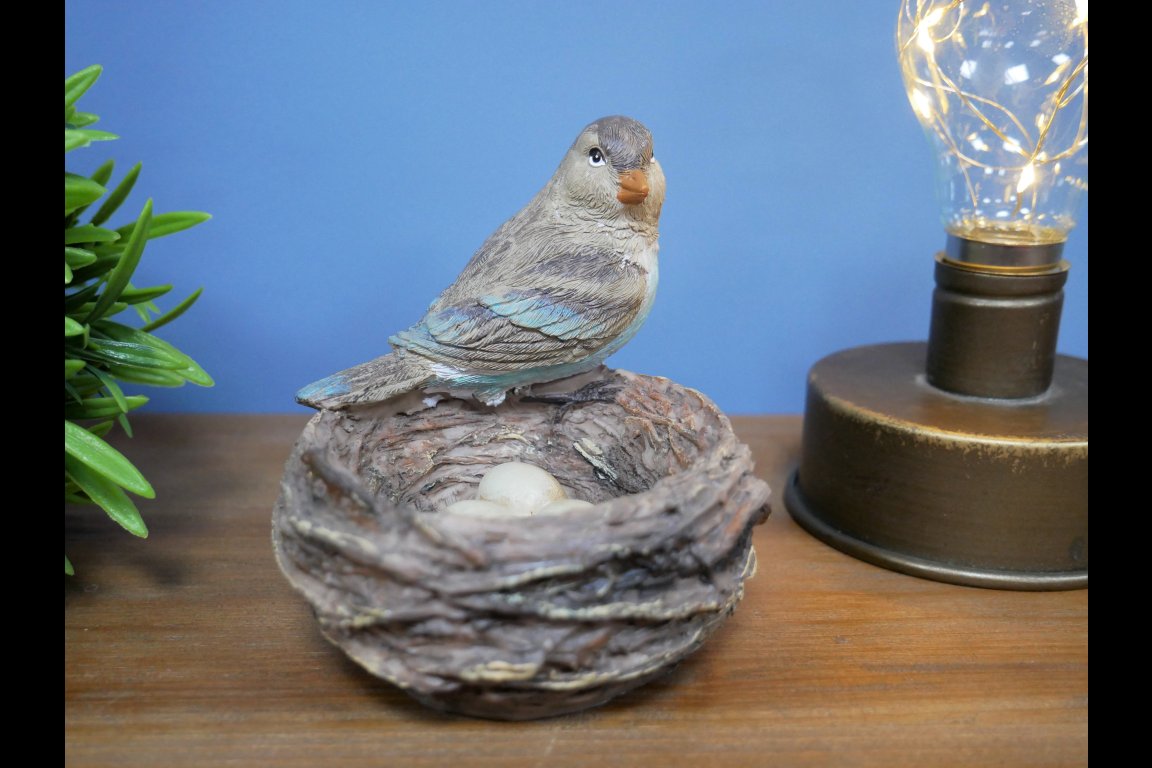 Bird Nest