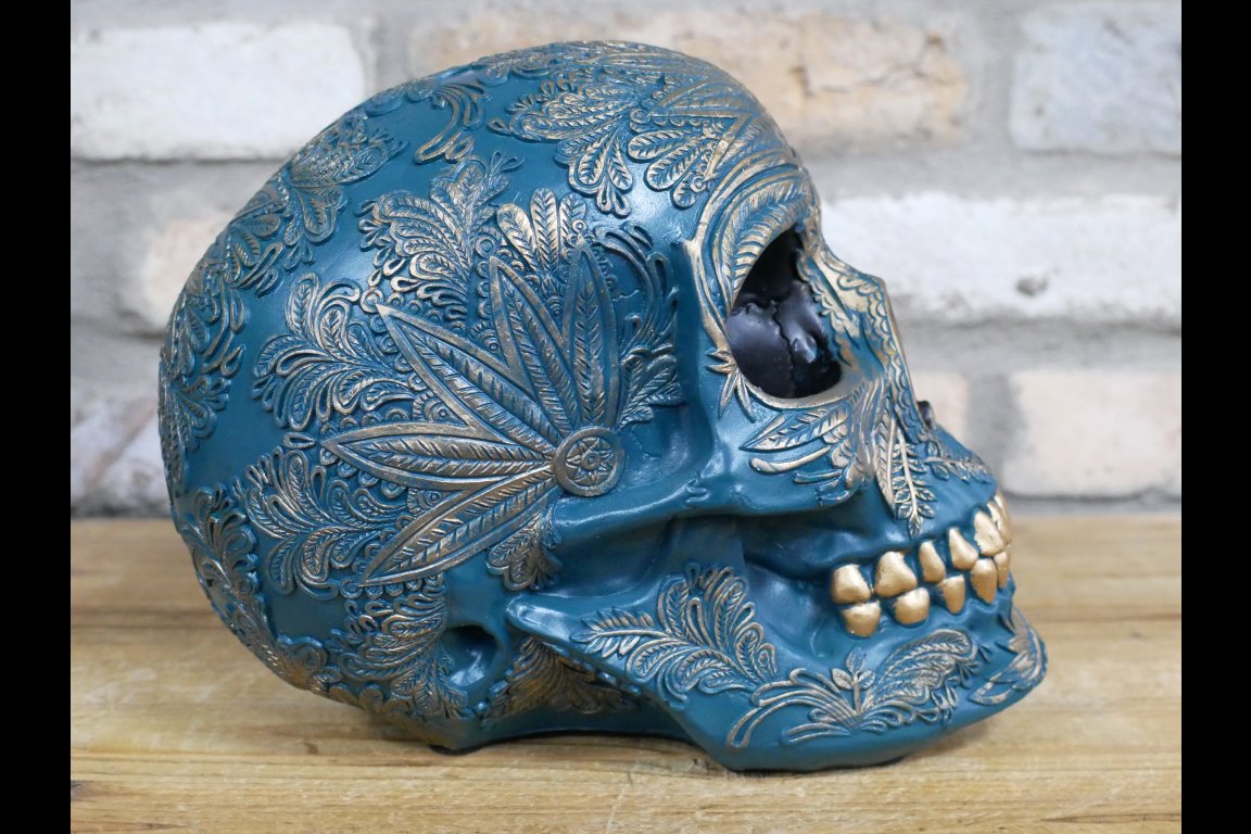 Skull