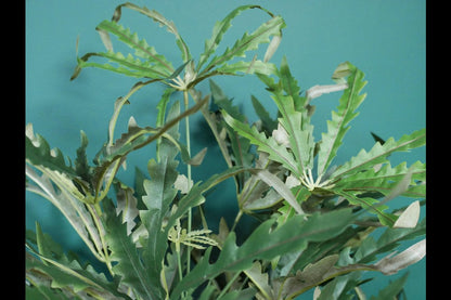 Artificial False Aralia