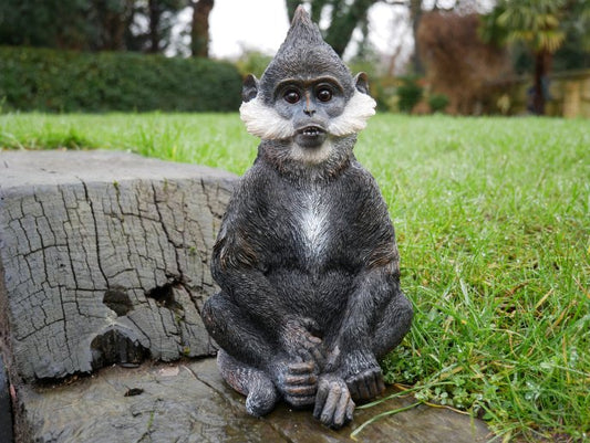 Bearded Monkey